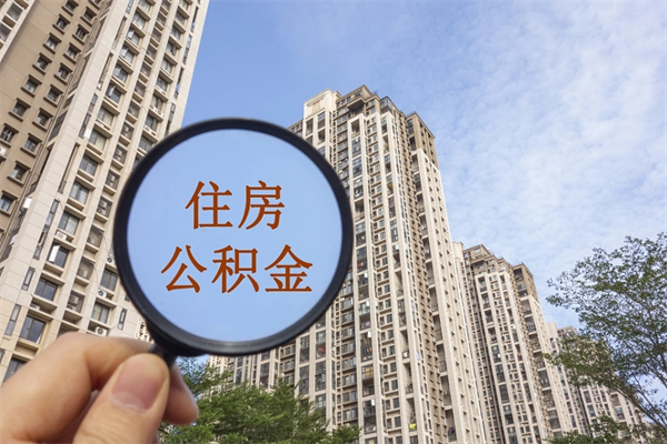 濮阳离职后公司不给转公积金怎么办（离职后公司不给转社保怎么办）